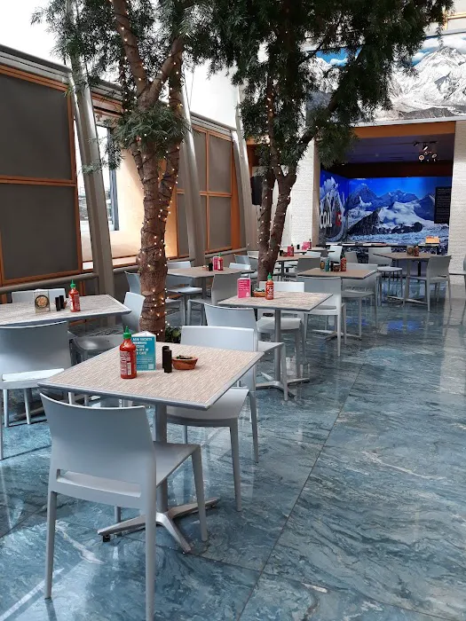 Leo Café at Asia Society Museum Picture 10