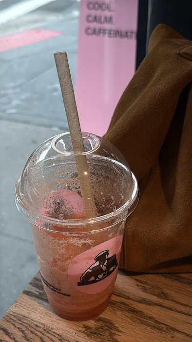 JOE & THE JUICE Picture 1