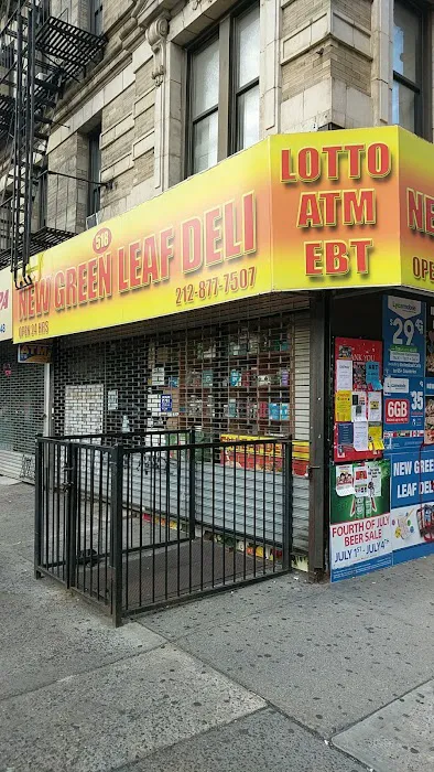 New Green Leaf Deli Picture 5