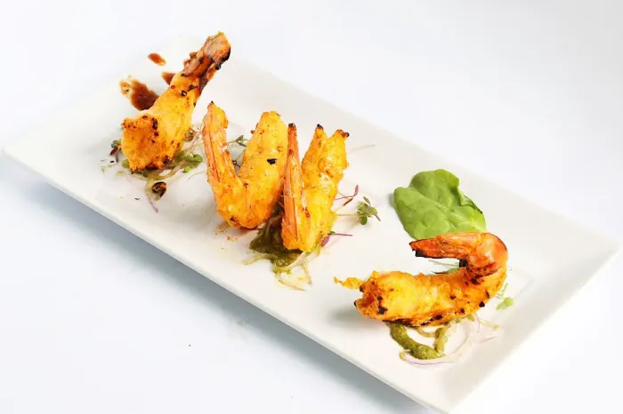 Tandoor Oven Picture 4