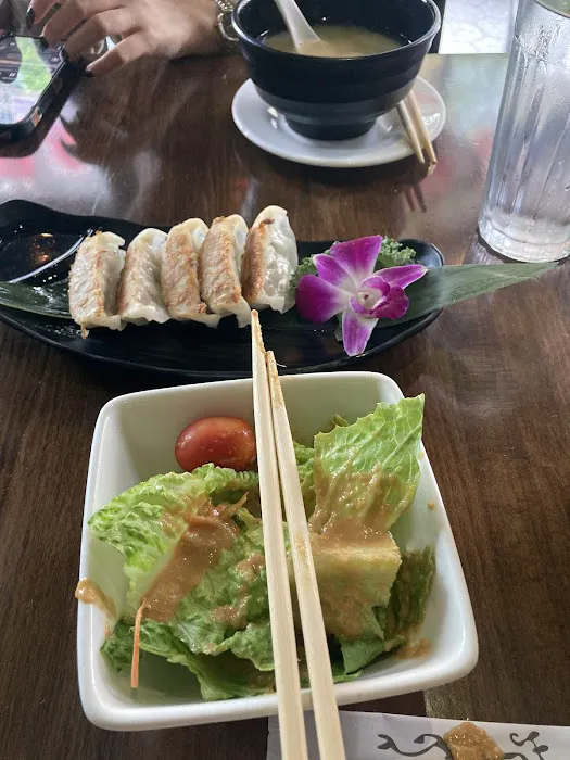 Fuji East Japanese Bistro Picture 7