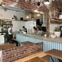 Hutch and Waldo ico