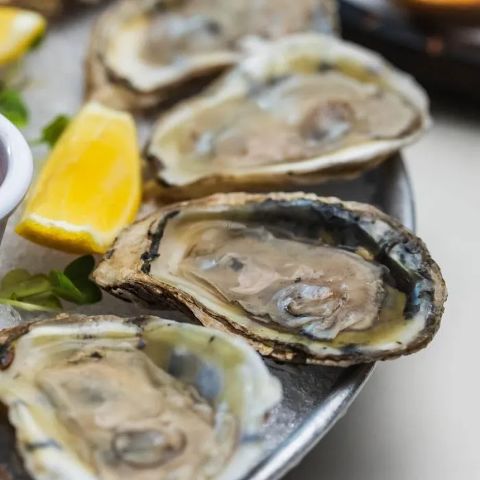 The Shell Seafood Kitchen & Bar Picture 5