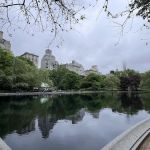 Central Park cafe