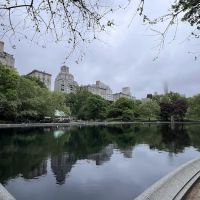 Central Park cafe ico