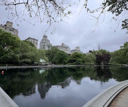 Central Park cafe
