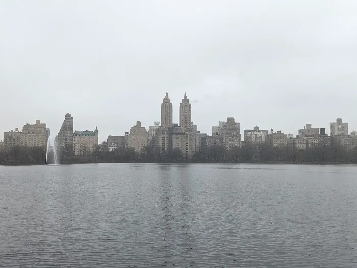 Central Park cafe Picture 2