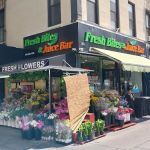 Fresh Bites & Juice Bar