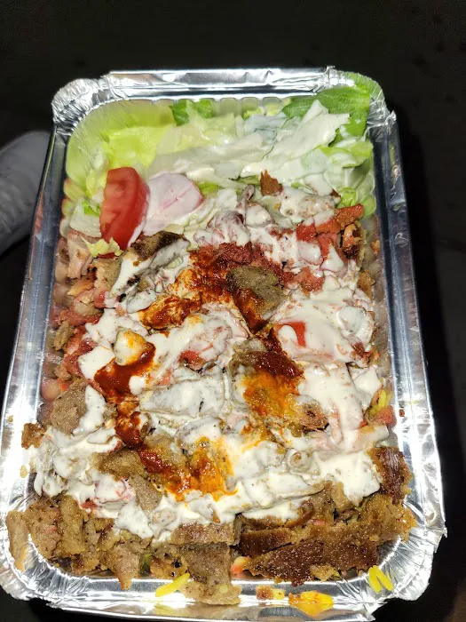 Medo Halal Food Cart Picture 9
