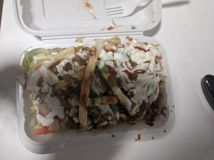 Q Halal Cart Picture 5