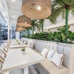 Pura Vida Miami