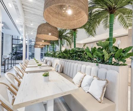 Pura Vida Miami