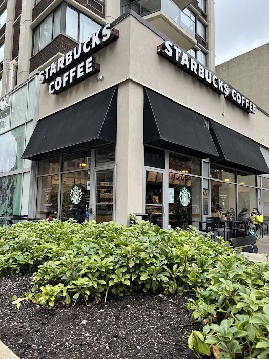 Starbucks Picture 2