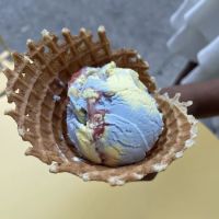 Van Leeuwen Ice Cream ico