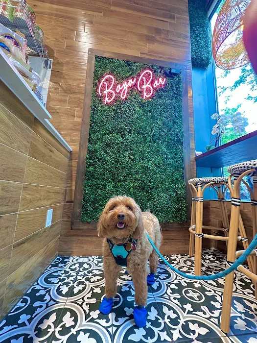 Baya Bar - Acai & Smoothie Shop Picture 3