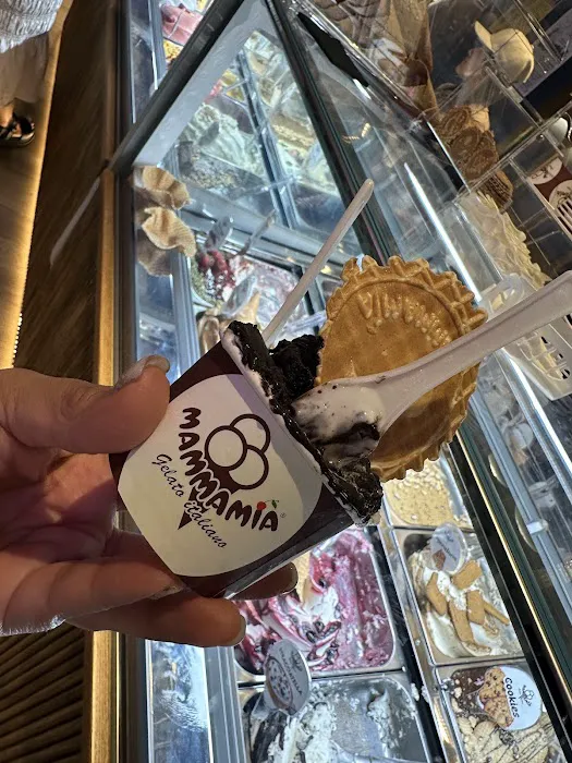 Mamma Mia Gelato Italiano Picture 6