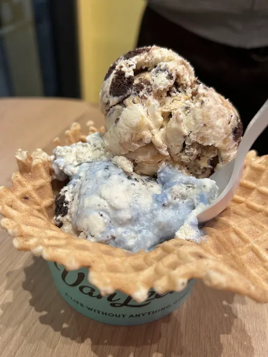 Van Leeuwen Ice Cream Picture 8