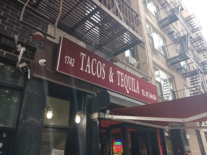 Tacos & Tequila Picture 10