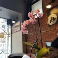 JOE & THE JUICE ico