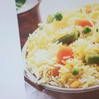 Aamber Indian Vegan ico
