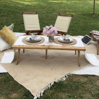 Perfect Picnic NYC ico