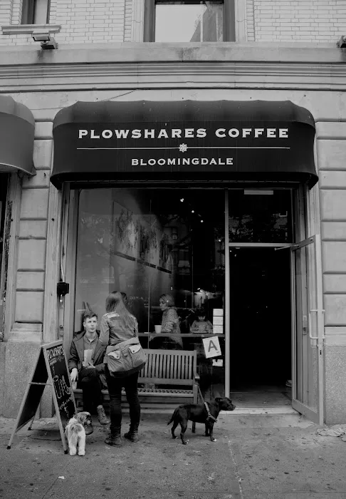Plowshares Coffee Bloomingdale Picture 8