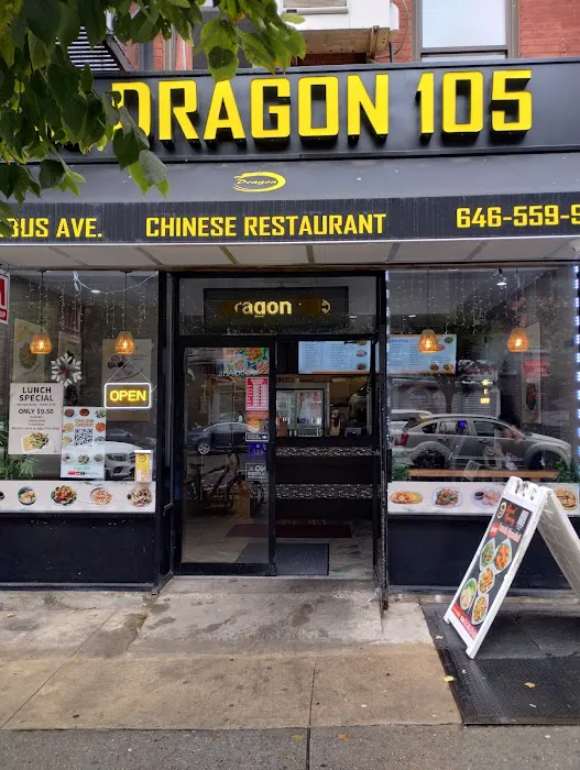 Dragon 105 Picture 3