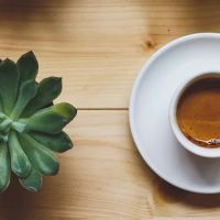 Madame Bonté Café ico