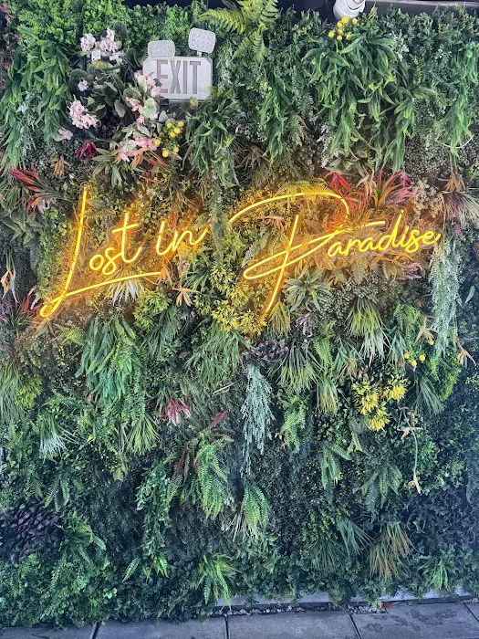 Lost in Paradise Rooftop Picture 5