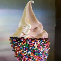 Trudy's Ice Cream ico