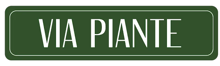 Via Piante Picture 6