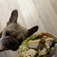 Veronica's Burrito Bar ico