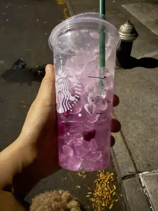 Starbucks Picture 7
