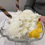 Mango Mango Dessert