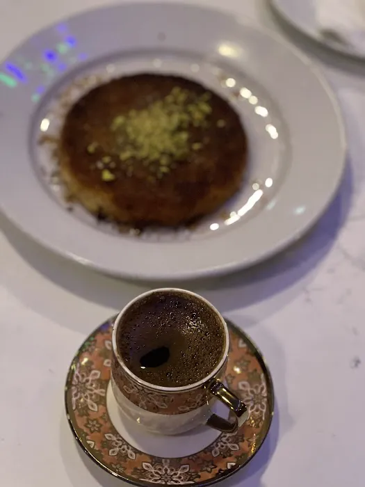 Safir Mediterranean Picture 1