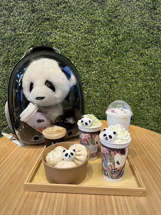Master Panda Picture 5