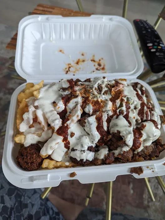 The Halal City Food Truck Picture 2