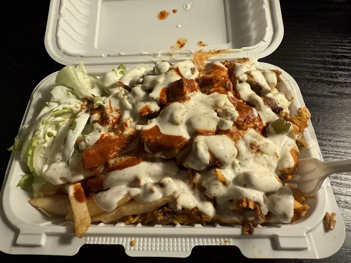 The Halal City Food Truck Picture 8
