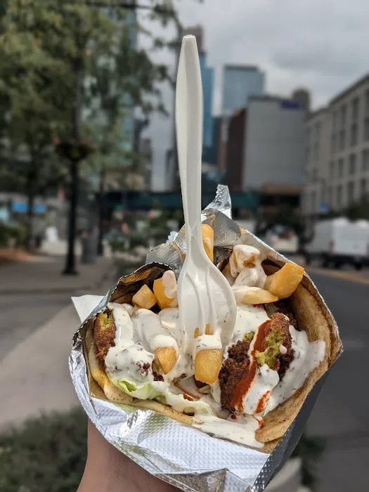 The Halal City Food Truck Picture 6