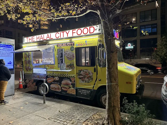 The Halal City Food Truck Picture 10