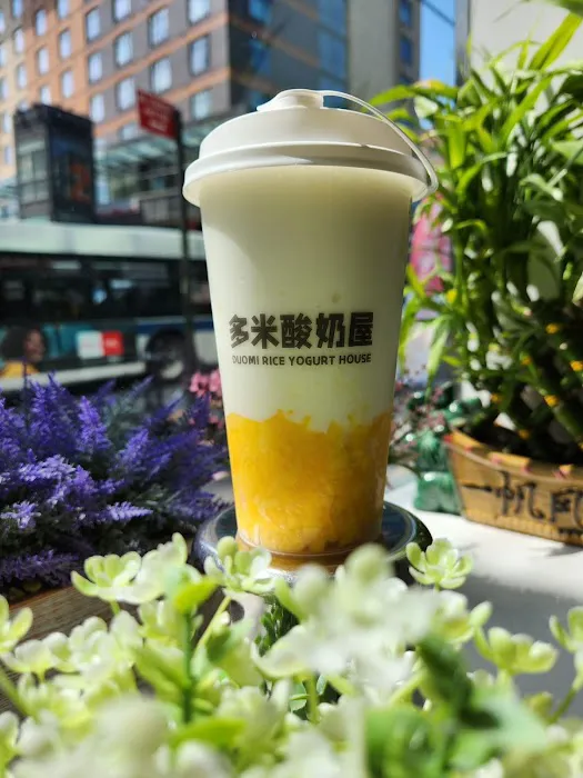 Duomi Rice Yogurt House LIC Picture 1