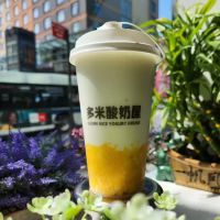 Duomi Rice Yogurt House LIC ico