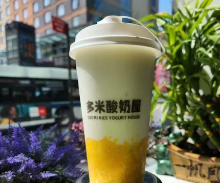 Duomi Rice Yogurt House LIC