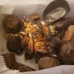 Mondel Chocolates