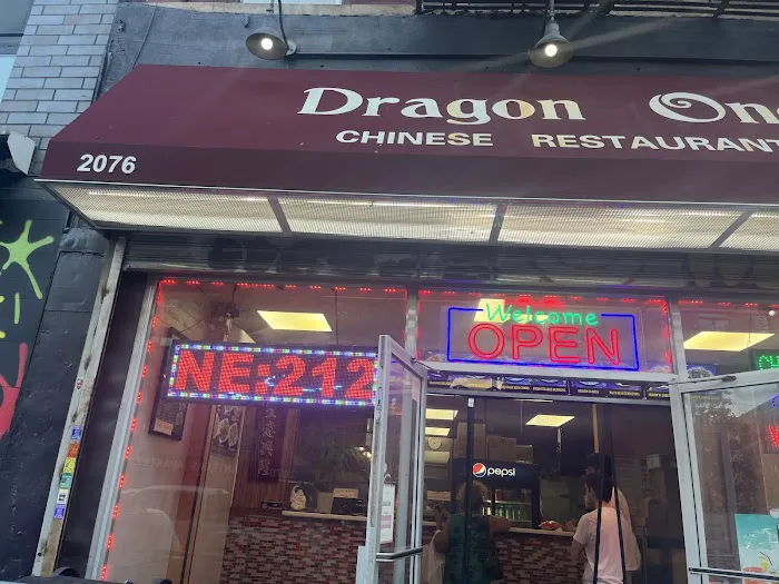 Dragon One Picture 7