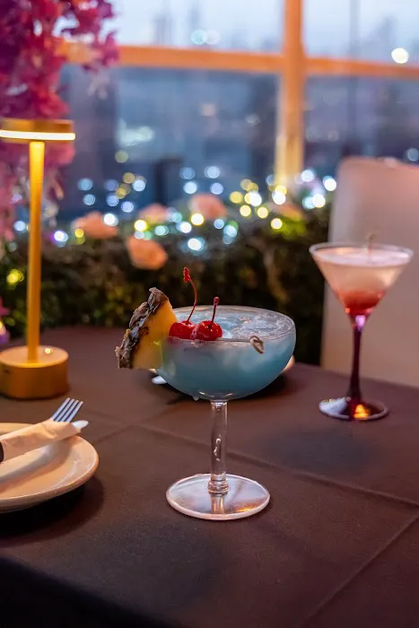Vista Sky Lounge Picture 3