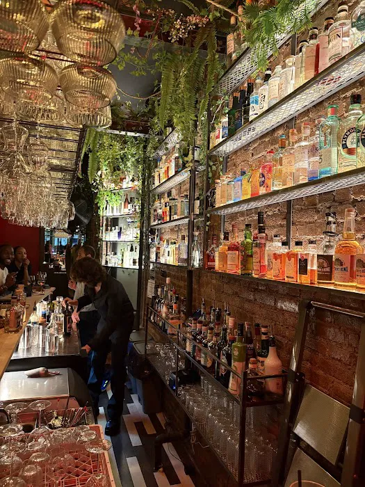 Gin Bar at Enoteca Harlem Picture 9