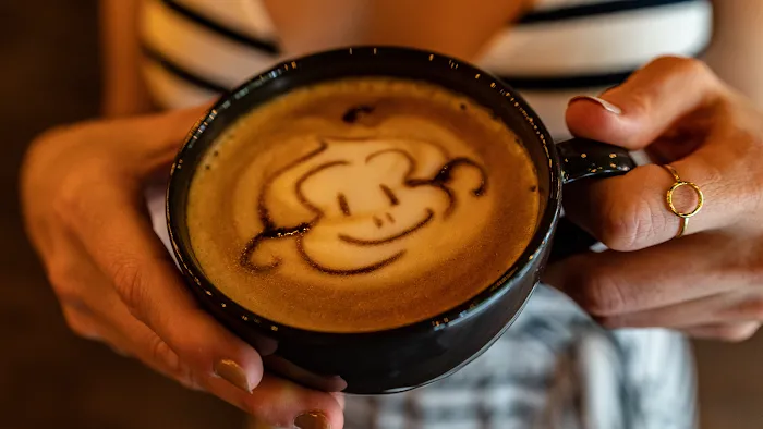 The Monkey Cup Picture 1