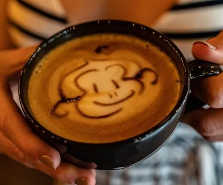 The Monkey Cup