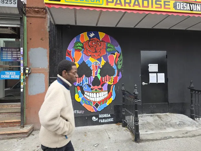 Bodega Paradise Picture 7